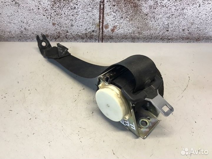 Ремень безопасности задний правый Ford Focus 2