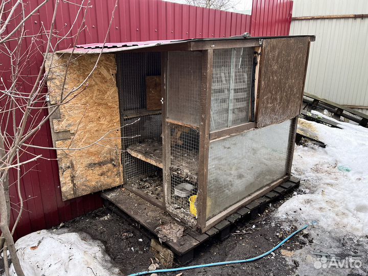 Курятник бу