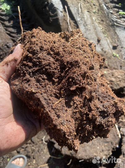 Торф Верховой