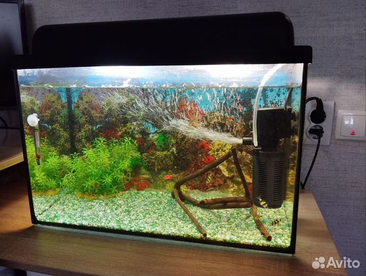 Аквариум с рыбками