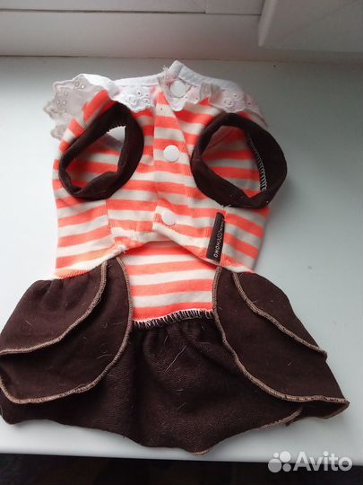 Одежда для маленьких собак чихуа