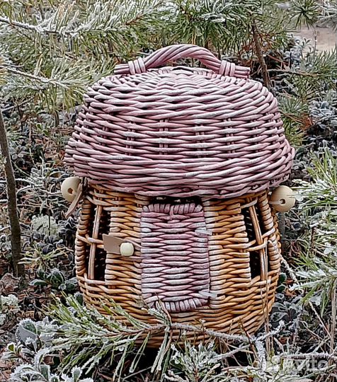 Гриб плетенный