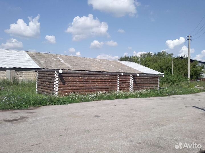 Срубы6х4, 3х5