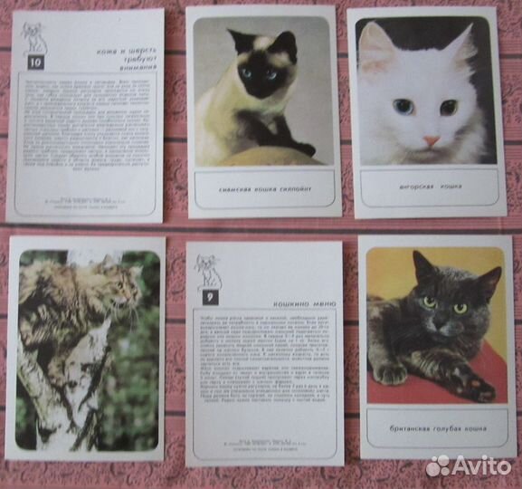 Набор открыток 