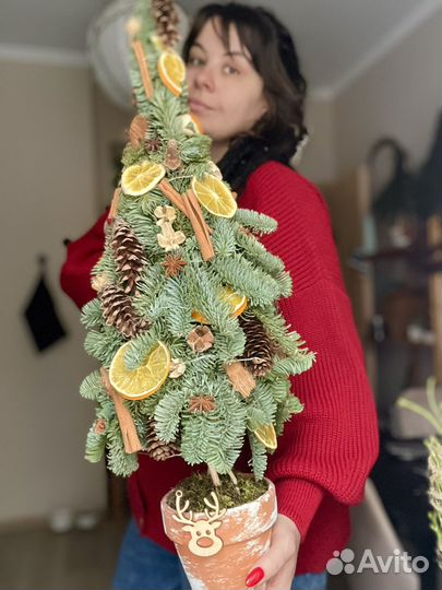 Флористическая елка из нобилиса