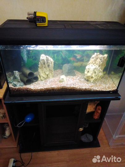 Аквариум 100 л с тумбой,полный комплект