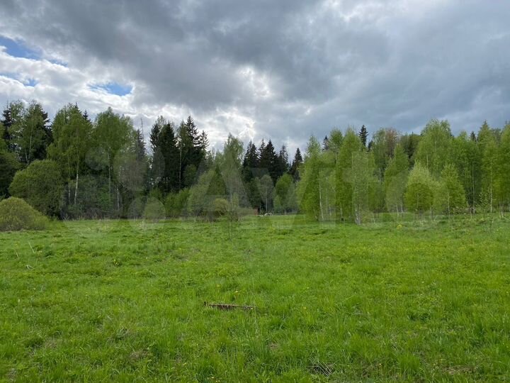 Участок 15,1 сот. (СНТ, ДНП)