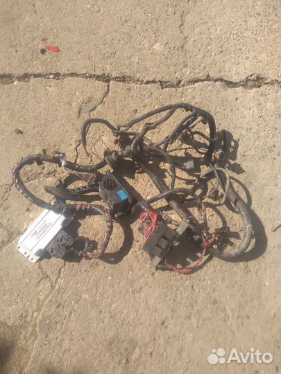 Коса лада калина