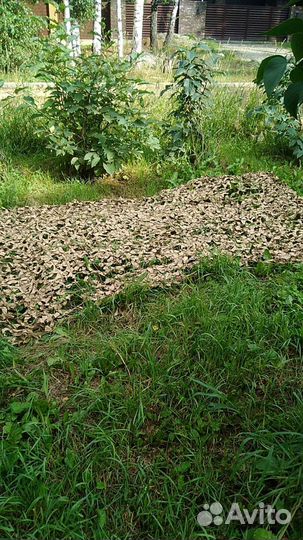 Маскировочная сеть