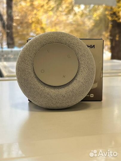 VK с голосовым помощником Марусей, серая (MRC02GY)