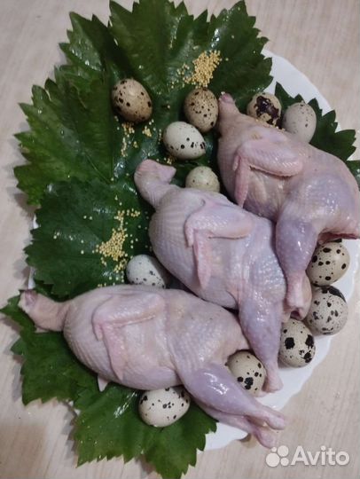 Яйца мясо перепелов