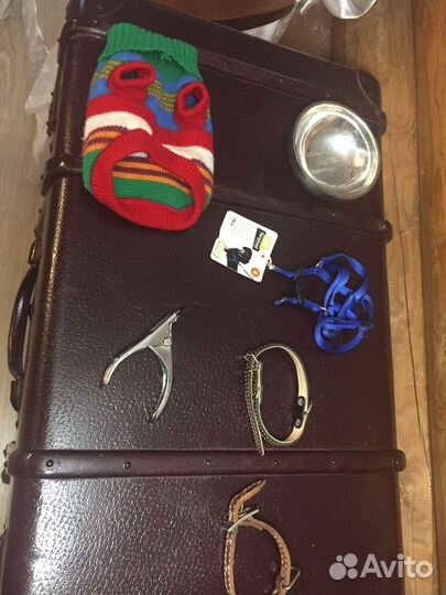 Все для маленькой собачки