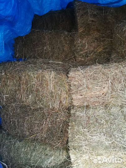 Сено в тюках