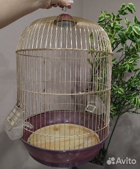 Клетка для птиц