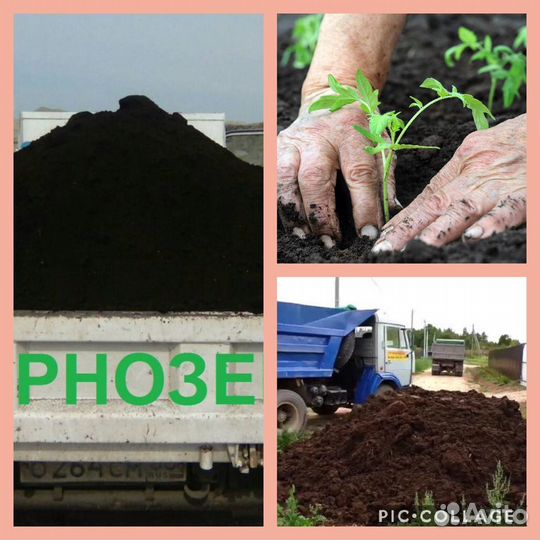 Чернозем / Перегной коровий 2-х летка