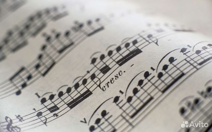 Набор нот/транспорт нот