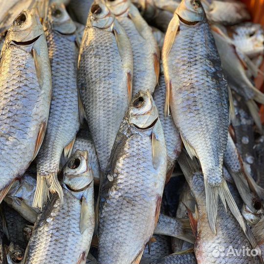 Вяленая и сушёная рыба сорога (вобла)