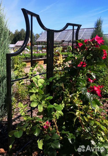 Стойка для плетистой розы