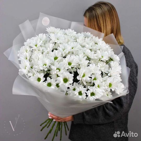 Хризантема кустовая ромашка