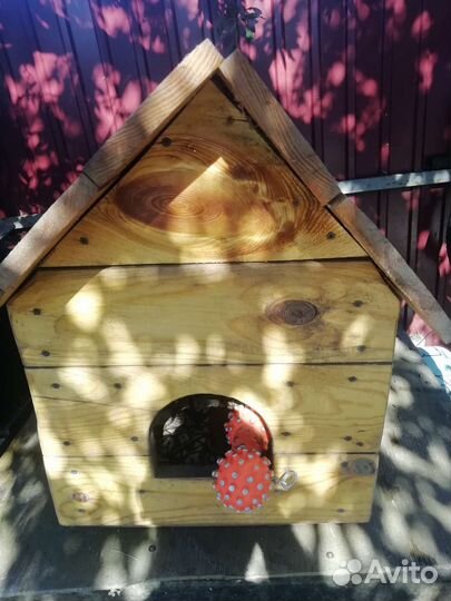 Собачья будка