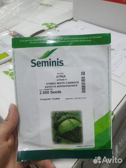Семена капуста Атрия гибрид 2 500с Семинис