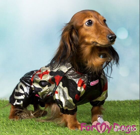 Дождевик для таксы