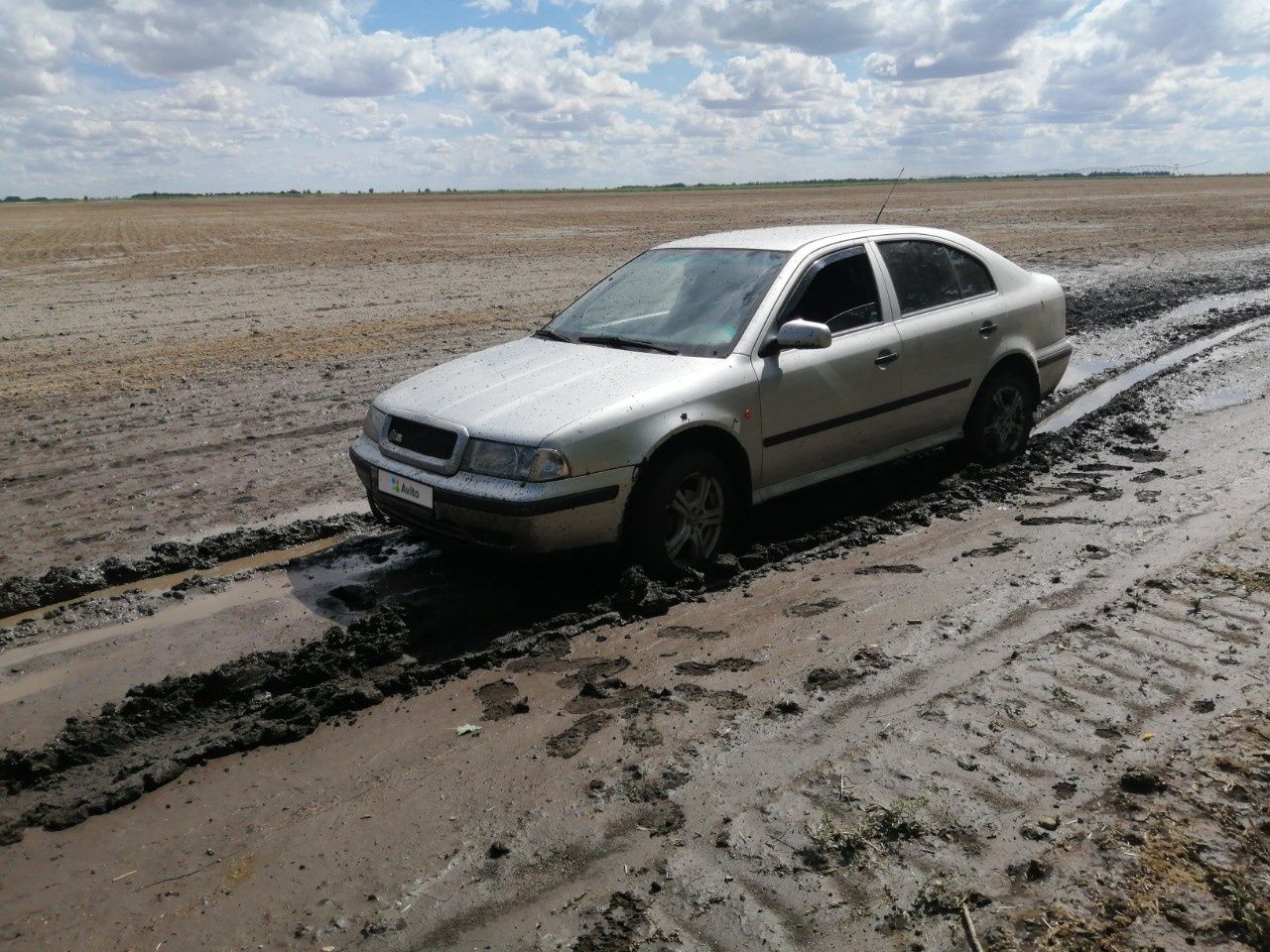 Skoda Octavia: фото владельца