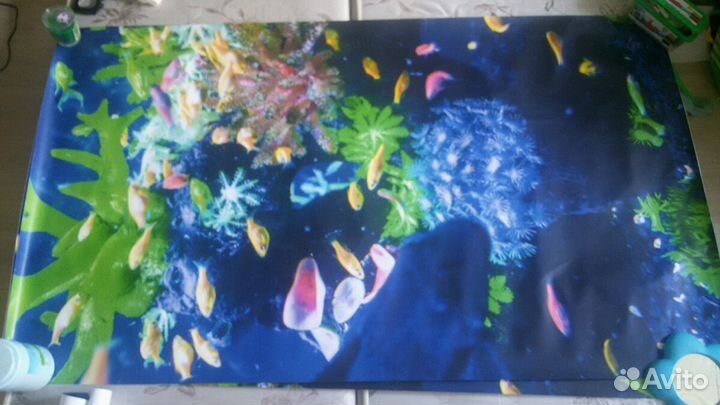 Фотообои фрукты и аквариум выс.170;длина 200