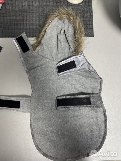 Одежда для собак