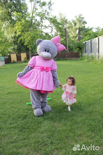 Мишка Тедди, Зайка, Белый медведь. поздравление