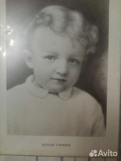 Портрет Володя Ульянов