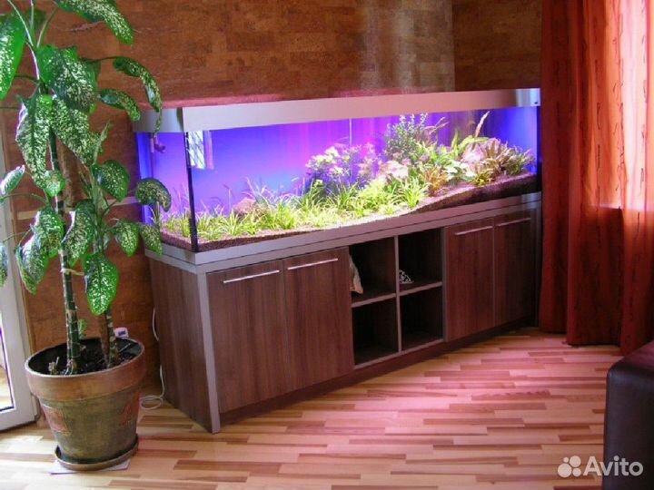 Обслуживание и дизайн аквариумов (профессионально)