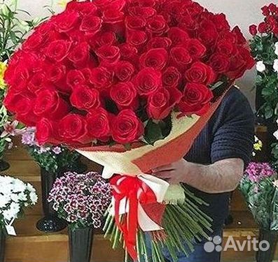 101 Роза Цветы Букеты 51 25 Роз Доставка