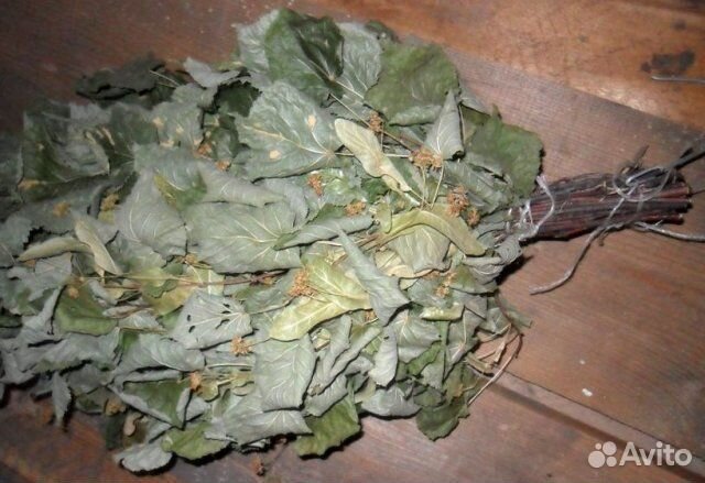 Правильный веник для бани (Дуб,Липа, Береза)