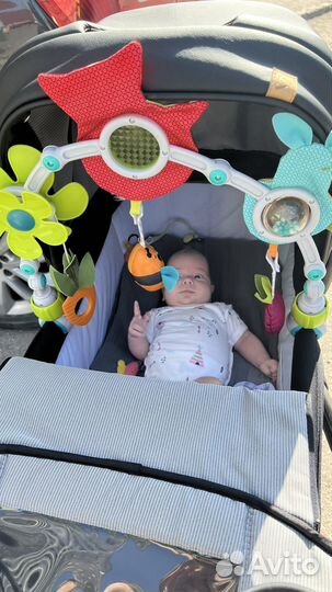 Игровой коврик и дуга Tiny Love