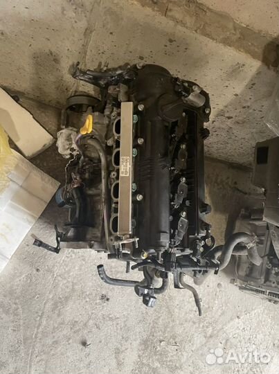 Двигатель на Kia Rio