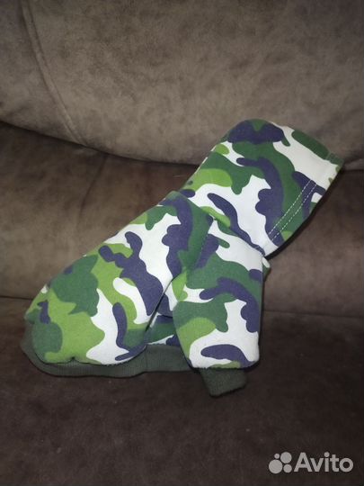 Одежда для собак мелких пород