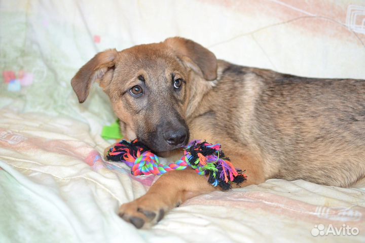 Очаровательная Ника ждет свою семью