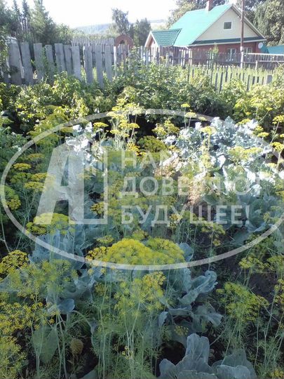 Дом 38 м² на участке 8 сот.