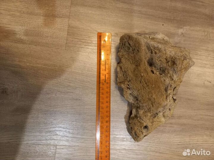 Камень ракушечник