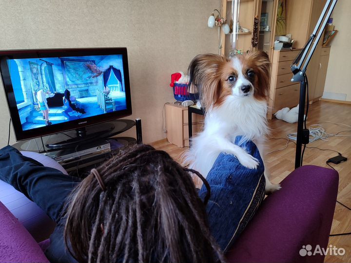 Натуральные дреды