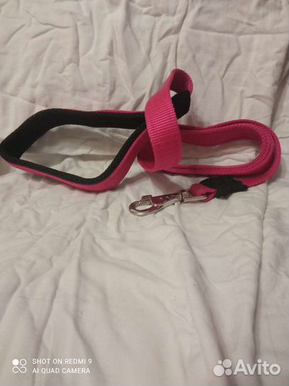 Товары для собак