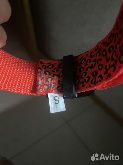 Светящийся ошейник для собак и кошек