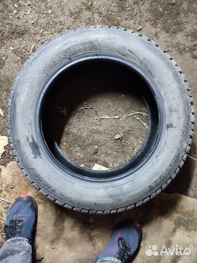 Tigar Ice 185/65 R15