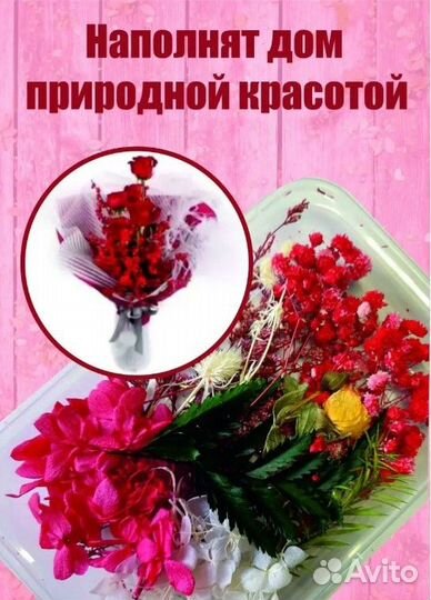 Сухоцветы для творчества/ декора/ эпоксидки/ мыла