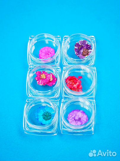 Сухоцветы для маникюра