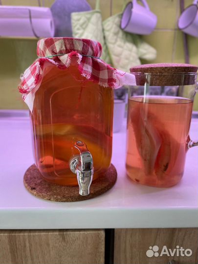 Чайный гриб комбуча