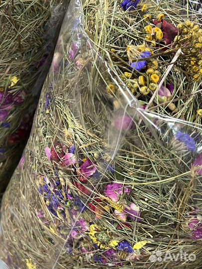 Декоративные кролики релакс