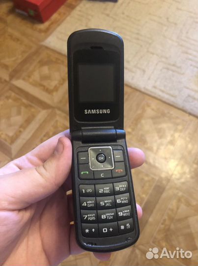 Samsung SGH-B300