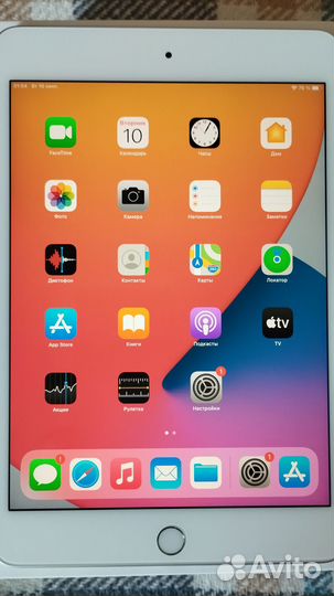 iPad mini 5 Wi-Fi 256 Gb